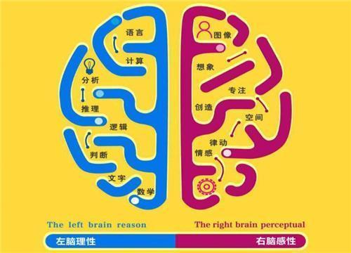 儿童教育机构创业项目