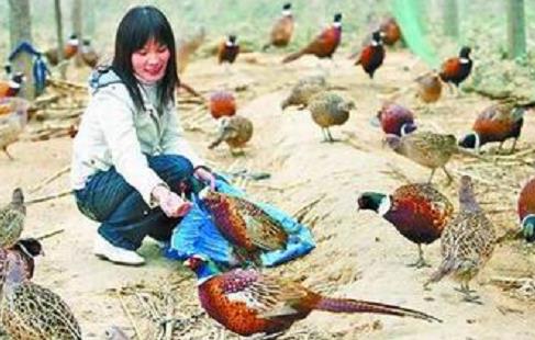 盘点农村创业年入百万的十大杰出人物，最后一位家喻户晓