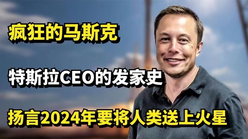 疯狂的马斯克：特斯拉CEO的发家史