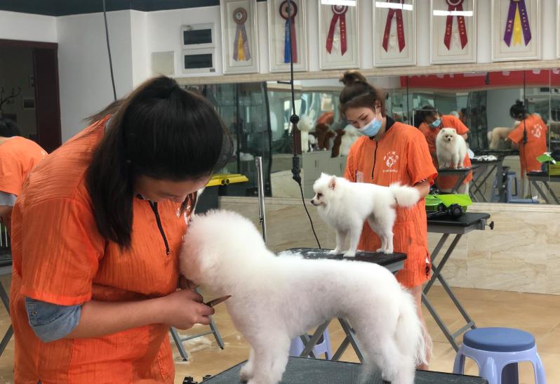 适合女生学的6门手艺，不读大学可以参考，学时短，回报率还高