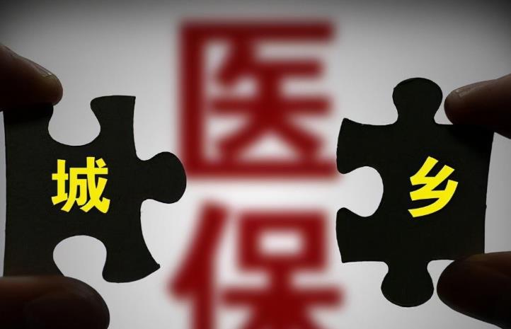 2022年,新农村合作医疗怎样网上缴费