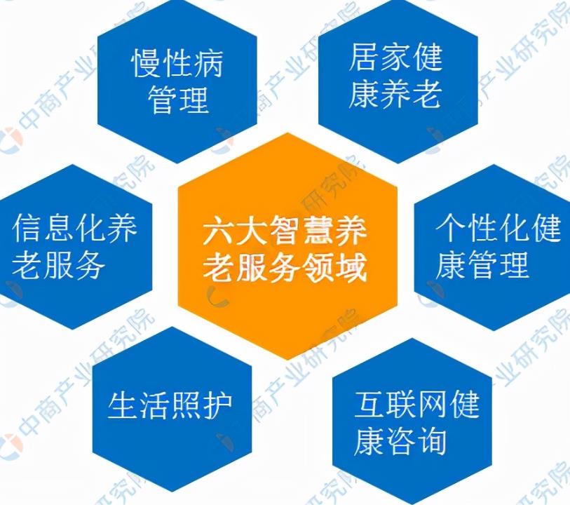 2022年中国智慧养老市场前景及投资研究预测报告
